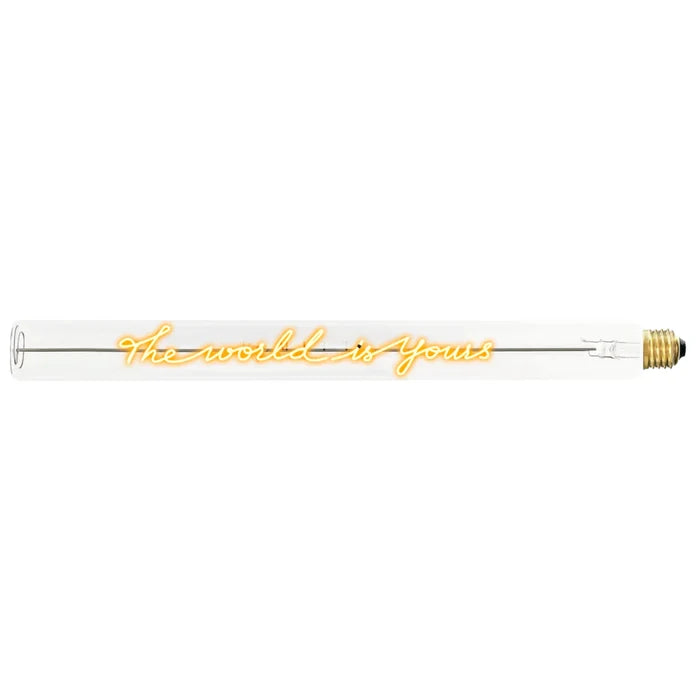 Ampoule décorative LED “The World is Yours" – Message In The Tube - Elements Lighting