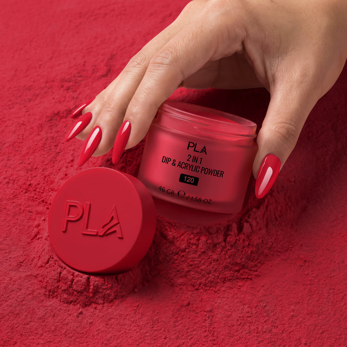 2-in-1 Dip & Acrylic Powder Sleigh What?! - 120