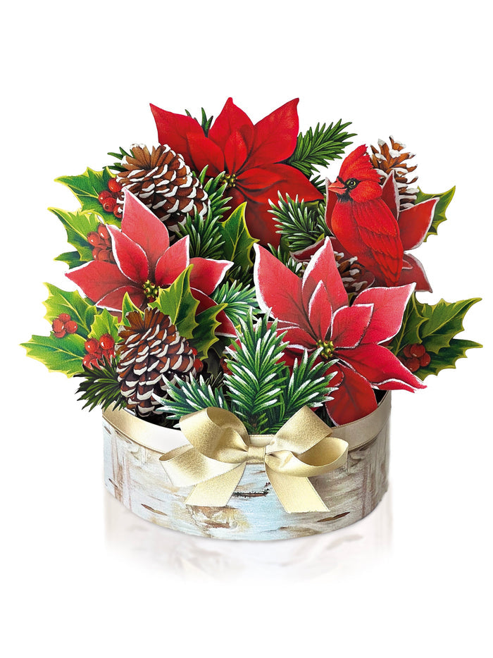 Birch Poinsettia