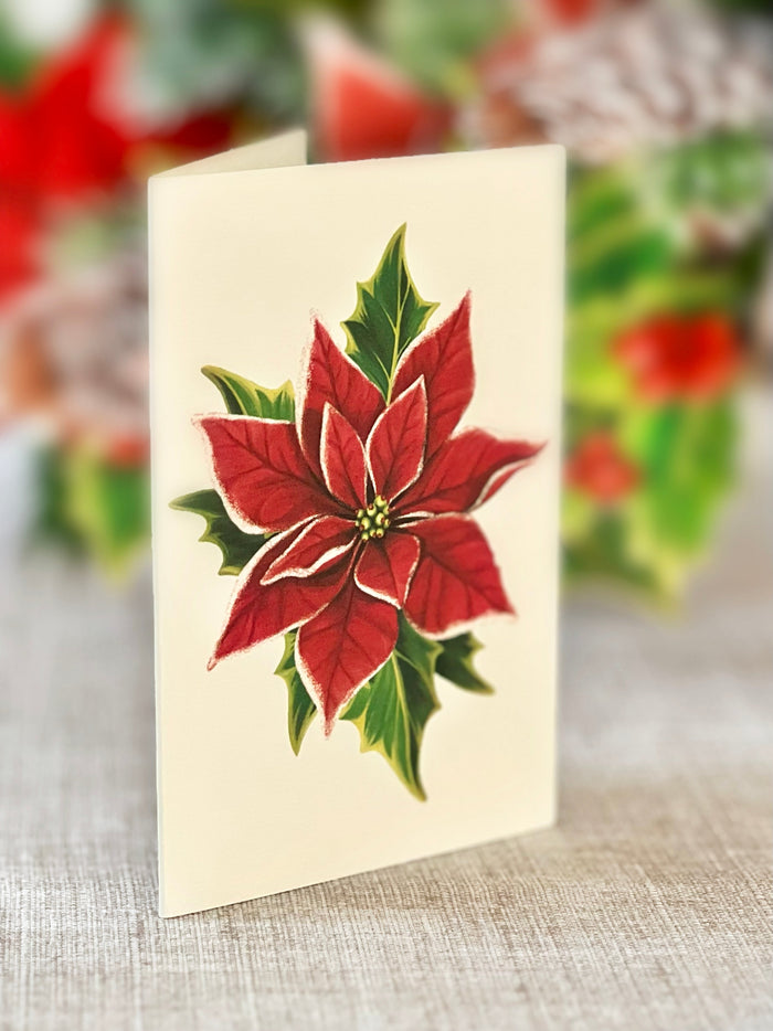 Birch Poinsettia