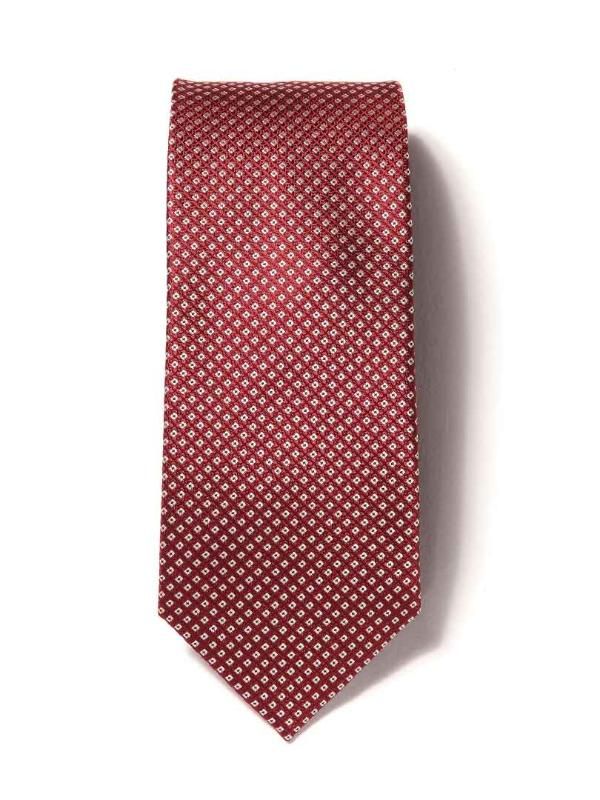 Campania Structure Dark Maroon Silk Tie