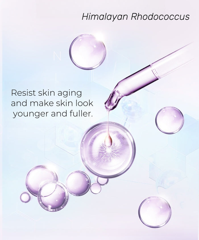 CHANDO Himalaya Carnosine & Yeast Anti-wrinkle Facial Cream T4467