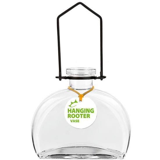 Hanging Fiji Rooter Vase