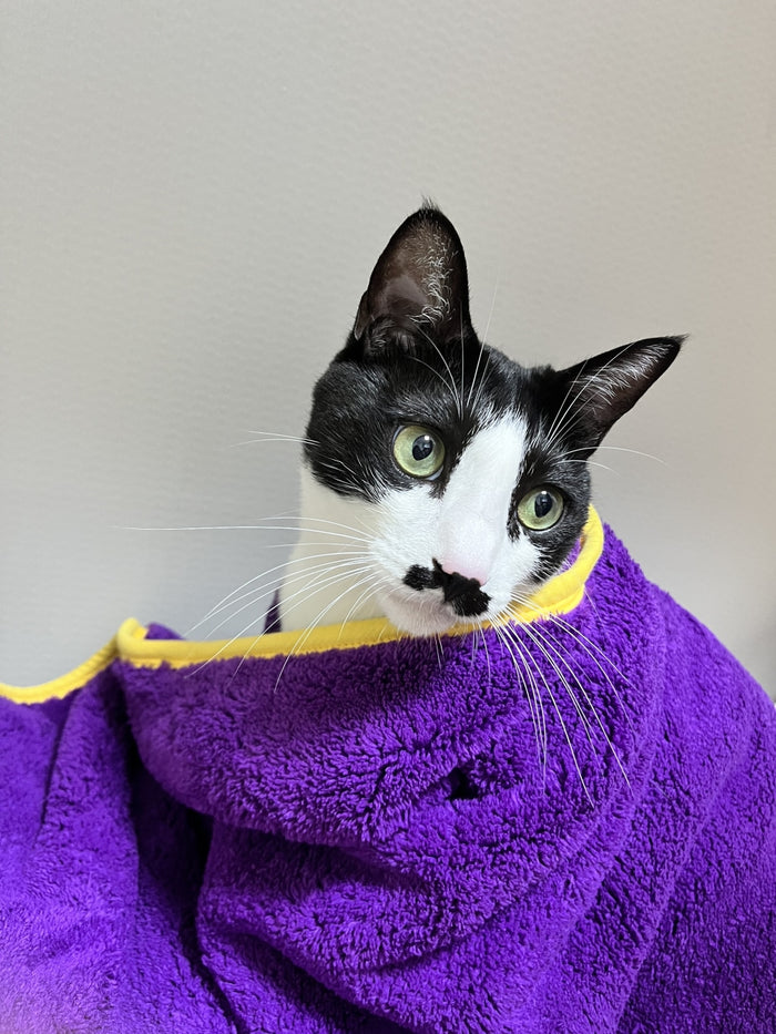 HoliPet Quick Dry Healing Towel