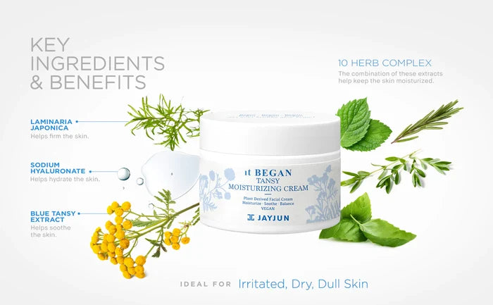 JAYJUN It Began Tansy Moisturising cream VEGAN كريم نباتي مرطب للبشرة