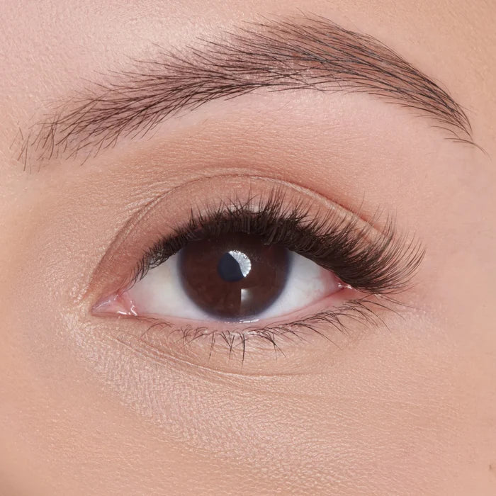 KISS Lash Atelier Lash Extensions Design kit 03 Wet Lash 46 Clusters 36 Single Lashes  مجموعة  إكستنشن الرموش الصناعية