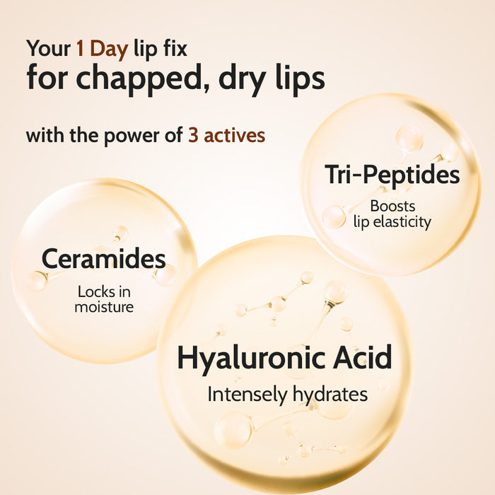 Natural Lip Balm for Chapped Lips | SPF 50 PA++++ | Natural - 4.5 gm | Pack of 3