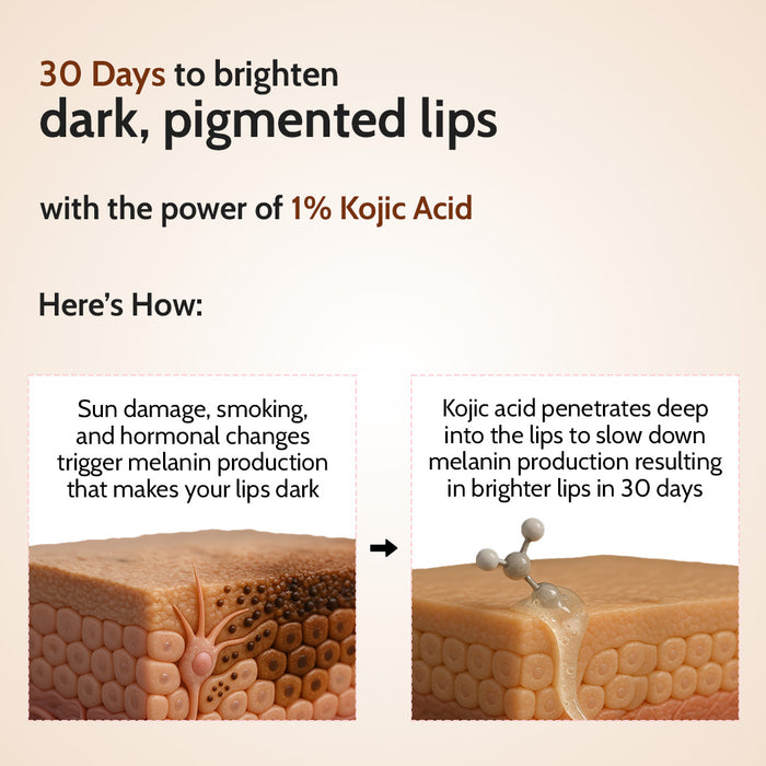 Natural Lip Balm for Chapped Lips | SPF 50 PA++++ | Natural - 4.5 gm | Pack of 3
