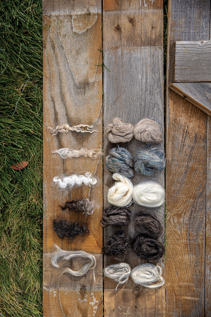 PLY Magazine, Issue 36: Goat