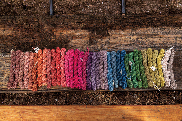 PLY Magazine, Issue 36: Goat