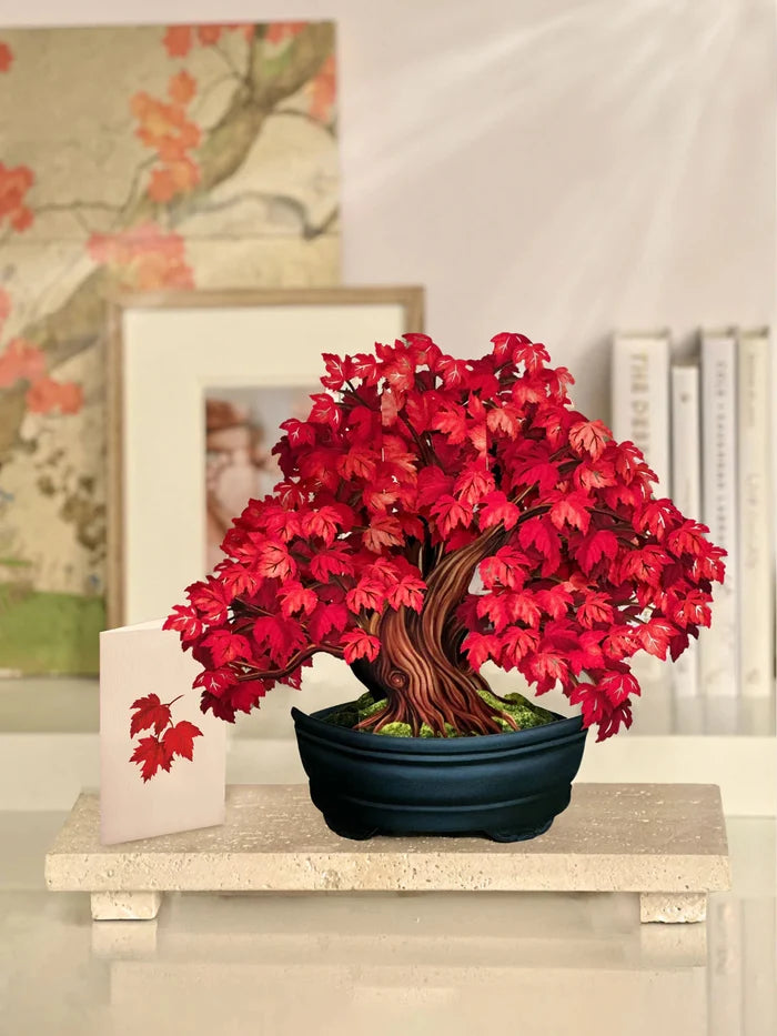Red Maple Tree Pop-Up Tree