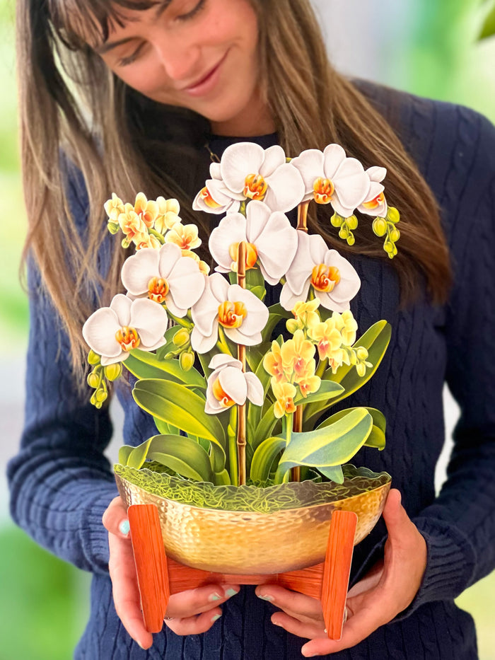 Serenity Orchid Pop-Up Flower Bouquet