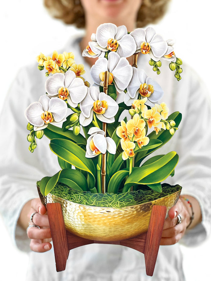 Serenity Orchid Pop-Up Flower Bouquet