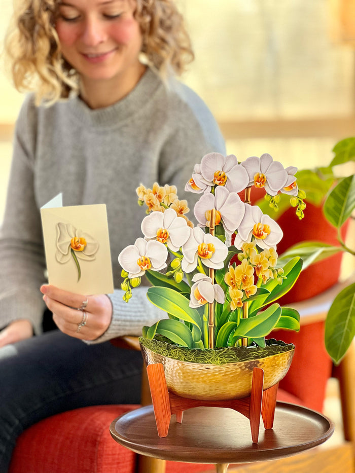 Serenity Orchid Pop-Up Flower Bouquet