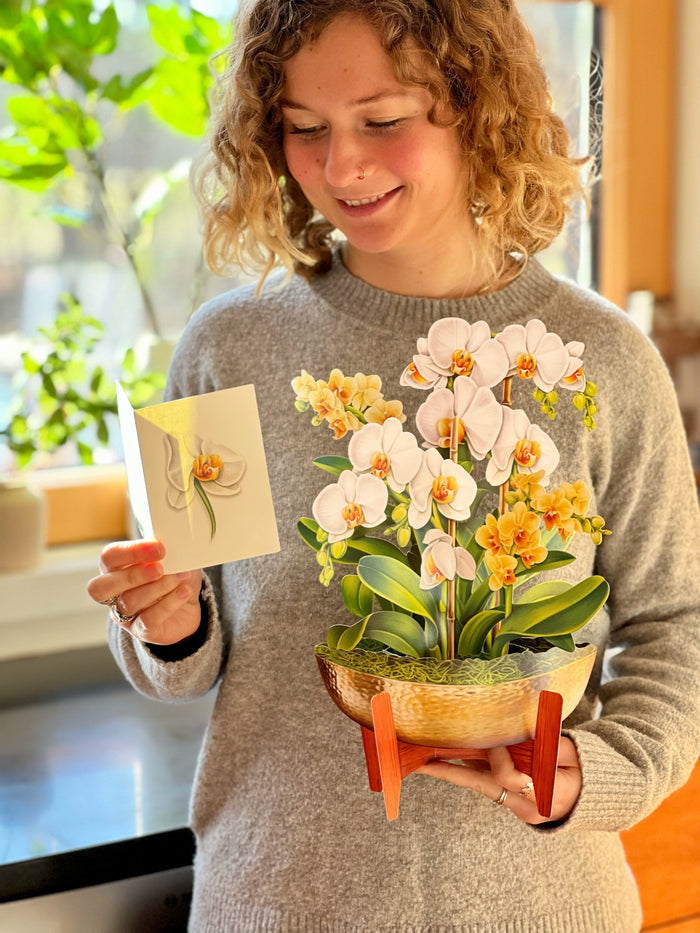 Serenity Orchid Pop-Up Flower Bouquet