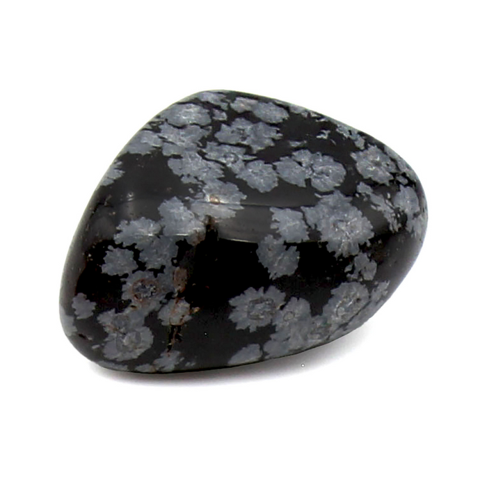Snowflake Obsidian Polished - Tumbled