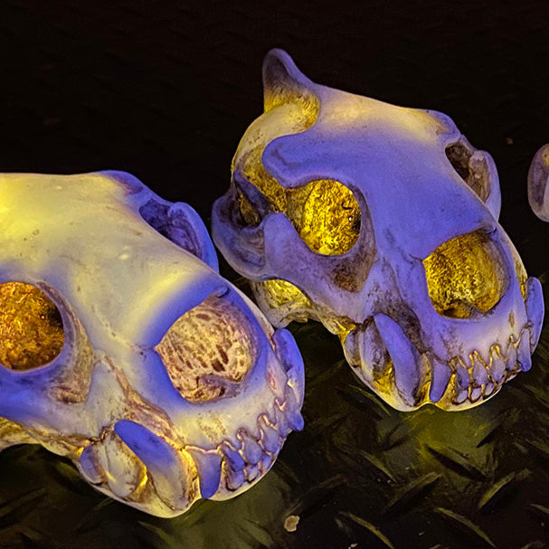SPIRIT HOUSE LIGHT UP GLOW SKULL