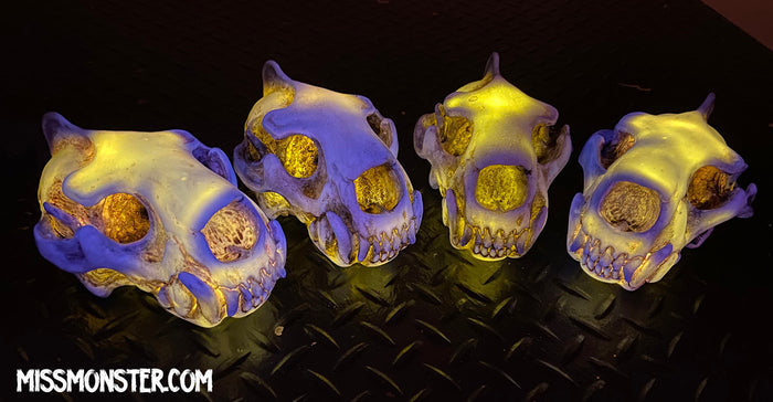 SPIRIT HOUSE LIGHT UP GLOW SKULL